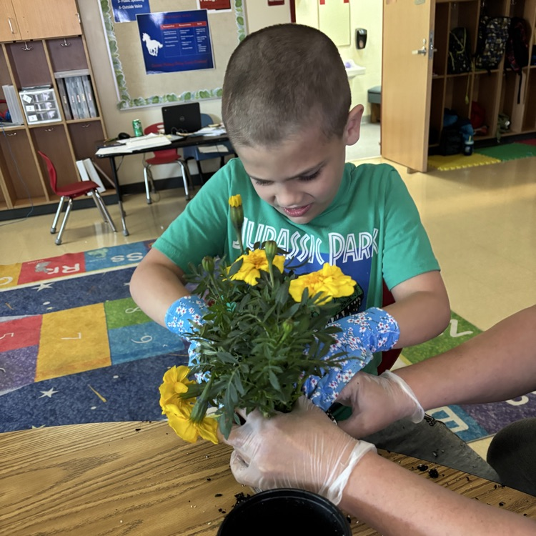 OESMustangs's tweet photo. Ms. Henson's students planted their Mother’s Day flowers today! https://t.co/tvYpCaoVpd