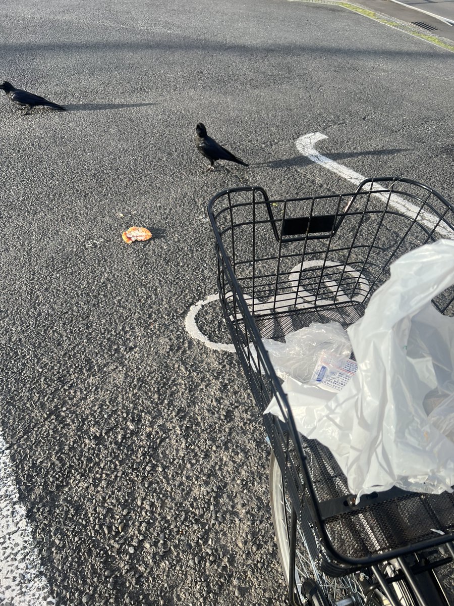 用事があった先のコンビニですごいおいしそうなパンがあって、ウッキウキで買ったんだけど、家の前のコンビニで買い忘れ買って朝ごはんにさっきのパン食べよ〜⊂(  ᴖ ̫ᴖ)⊃ってルンルンで出てきたら