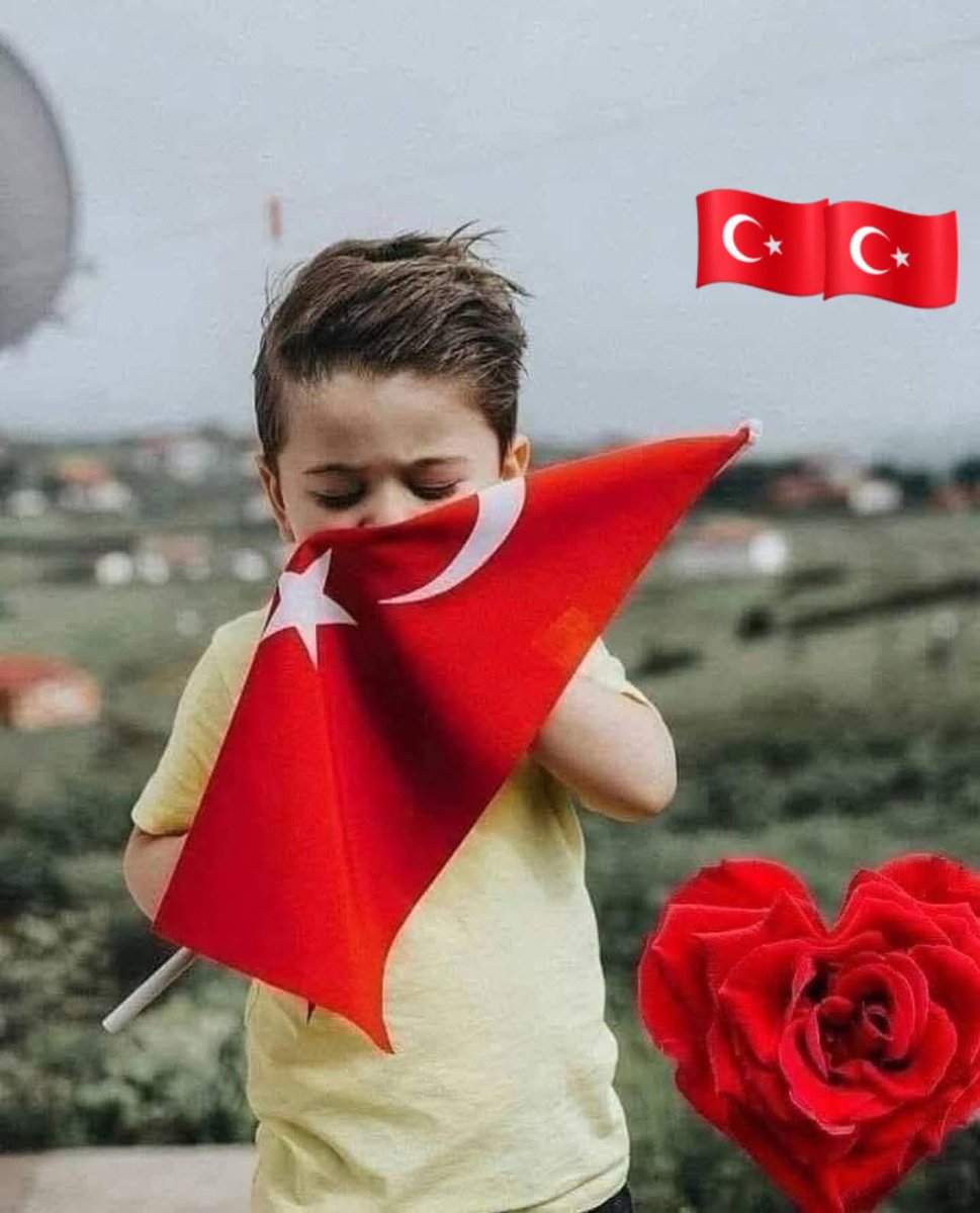 Ali Serçe tweet media