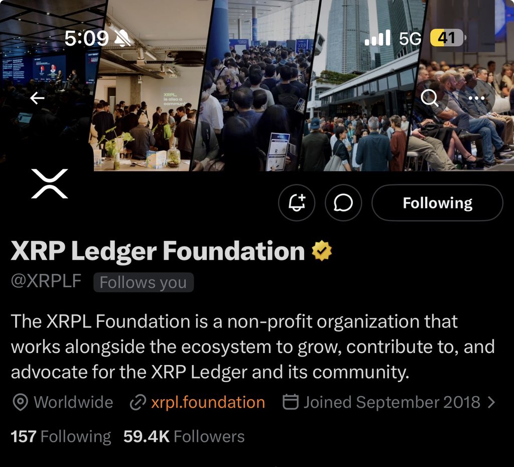 LJ tweet media