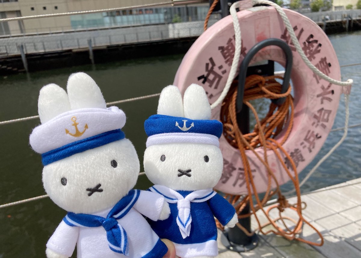 おはようございます⚓️