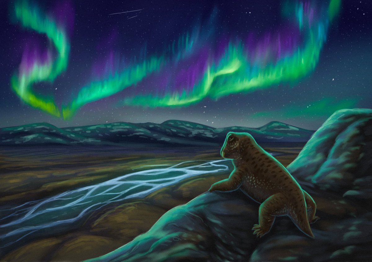 Lystrosaurus observing the southern lights at the southern tip of Pangaea 249 million years ago