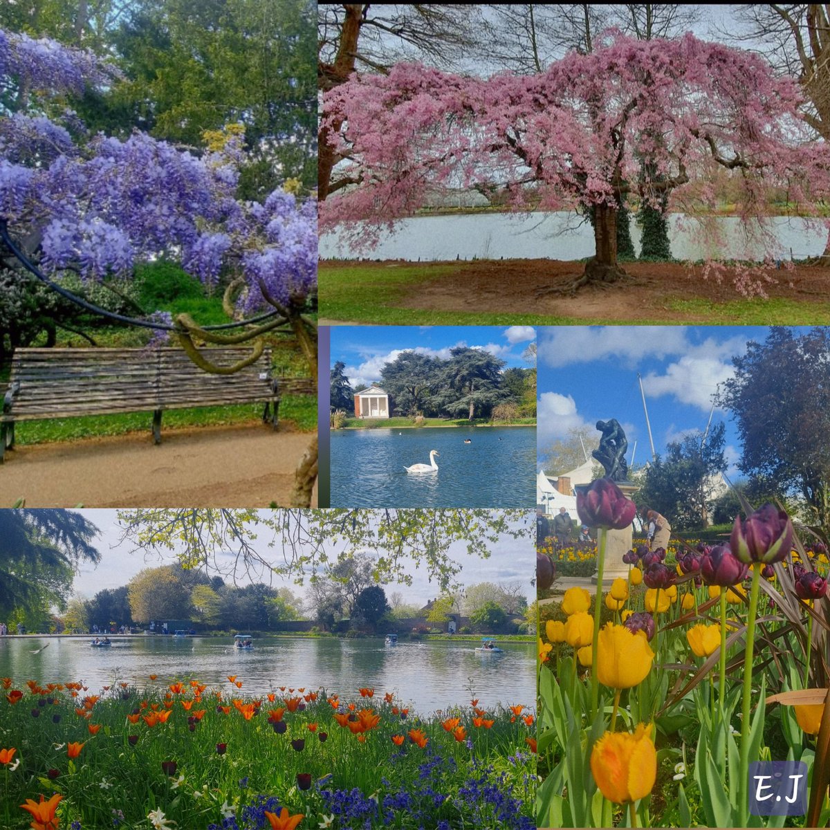 ElcinJundi's tweet photo. Günaydın 🪻🕊🌸  Good morning 
"In every winter's heart, there is a 
quivering spring, behind the veil of
each night, there is a shining dawn"   Khalil Gibran https://t.co/8FTCF4nHPS