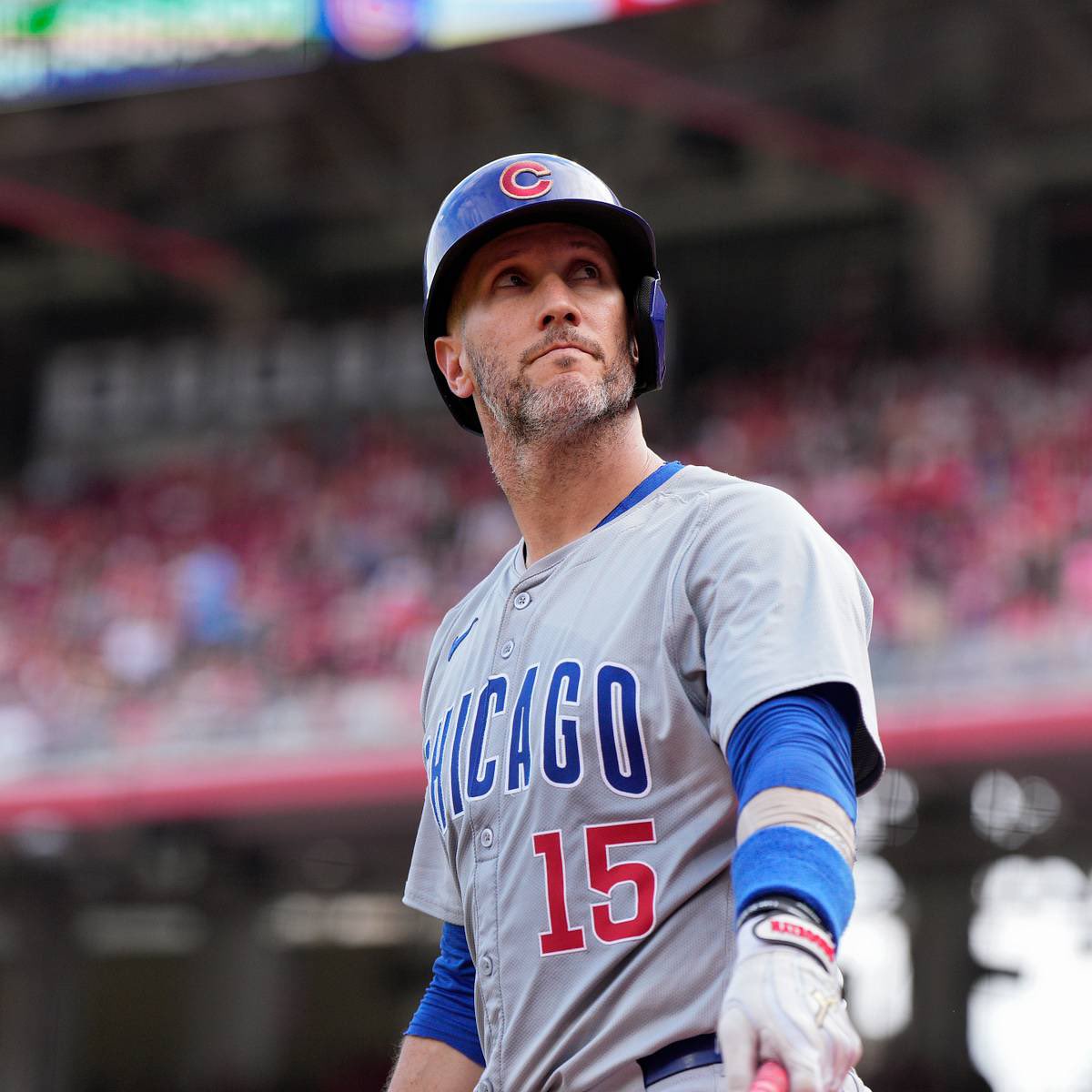 Daily Random Cub tweet media