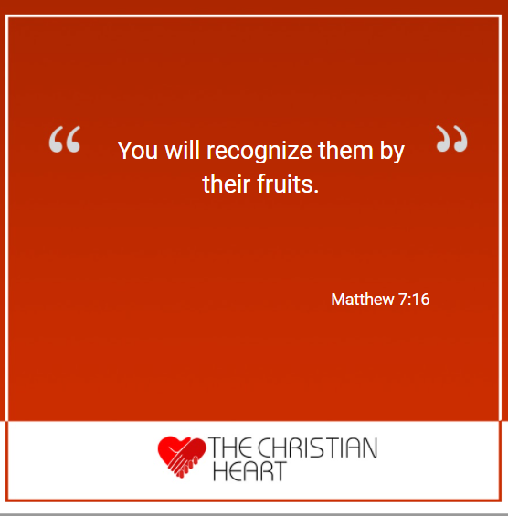 The Christian Heart tweet media