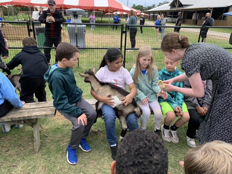 Robinson Elementary tweet media