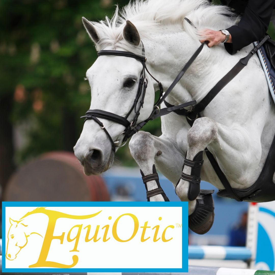 BluegrassAnimal's tweet photo. Equiotic supports your horses health with a daily dose of live, equine sourced lactobacillus reuteri

#horse #horses #jumper #eventing #probiotic #horsehealth https://t.co/xGaIBABJnU