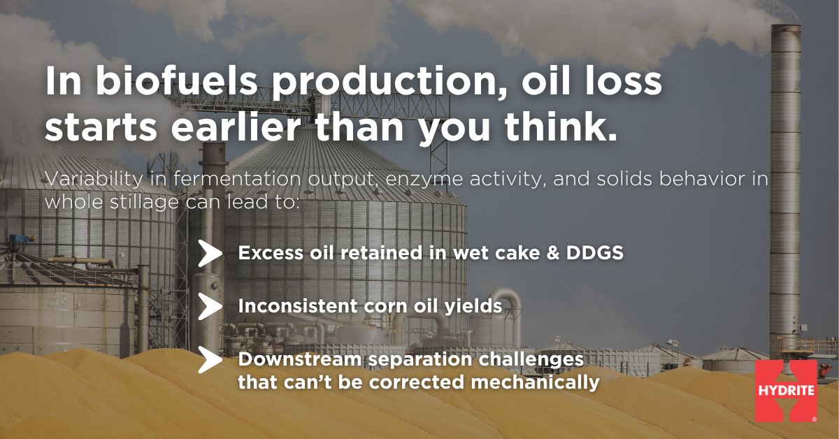 HydriteCo's tweet photo. Corn oil recovery challenges don’t begin at the centrifuge—they begin upstream, in whole stillage.

Hydri‑Maize™ WS-Pro 100 can help ethanol producers strengthen whole stillage + corn oil recovery goals. See why plants are choosing Hydri‑Maize™: https://t.co/YAatgvw4MH https://t.co/AnA86ihCbI