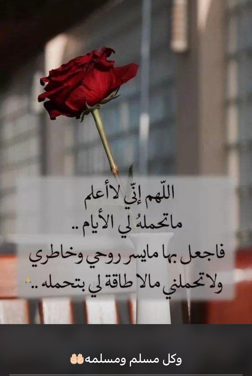 بوح (أم الما وأمير) tweet media