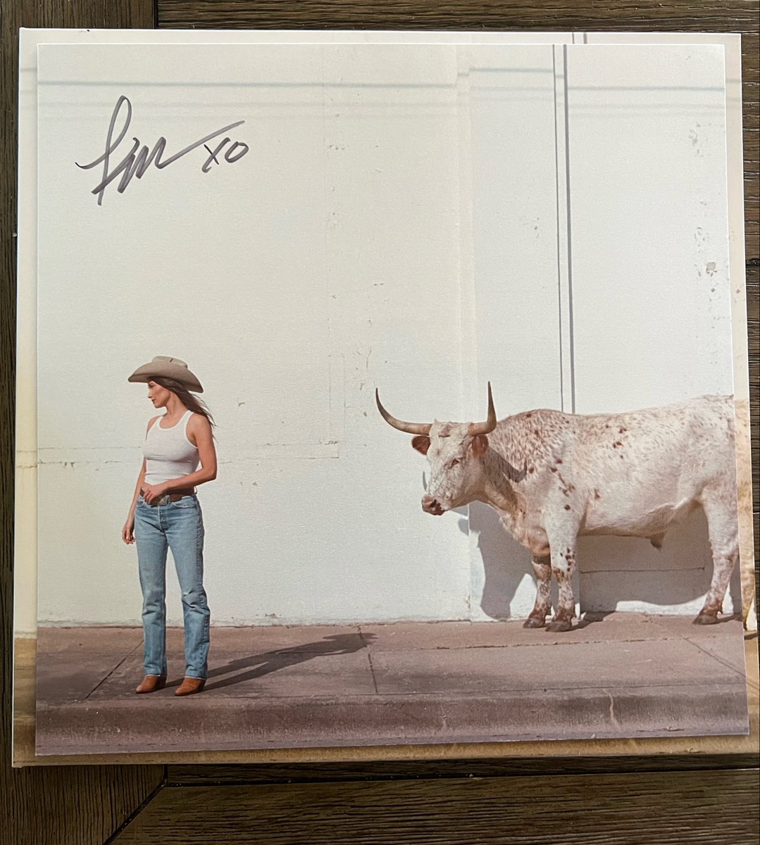 AlbertFuentes's tweet photo. Got my signed @KaceyMusgraves vinyl. It’s beautiful 🤩 https://t.co/JRxm5I9Ri8