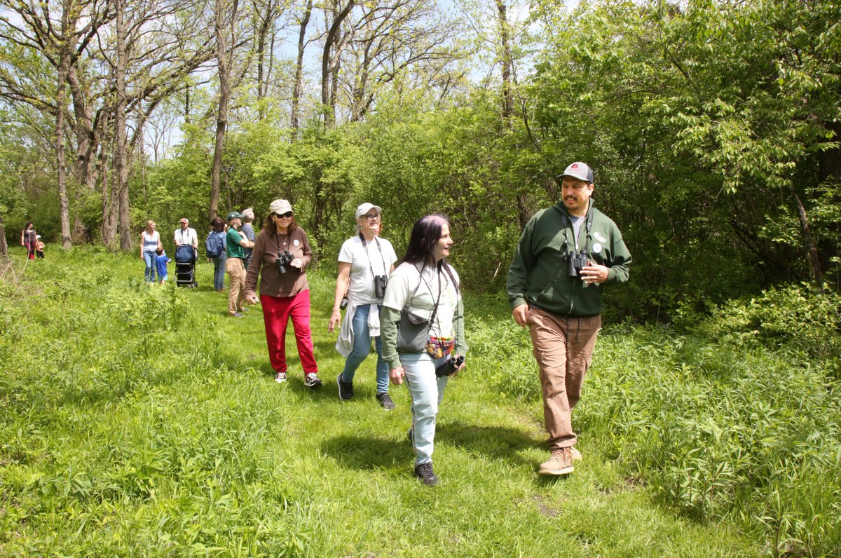Forest Preserves tweet media