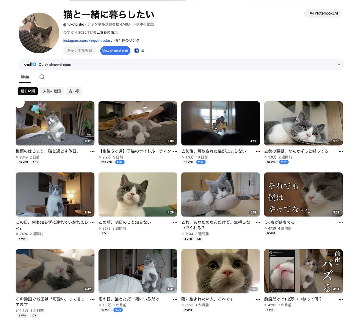 田舎YouTube起業の伊藤さん|YouTubeで生活する人 tweet media