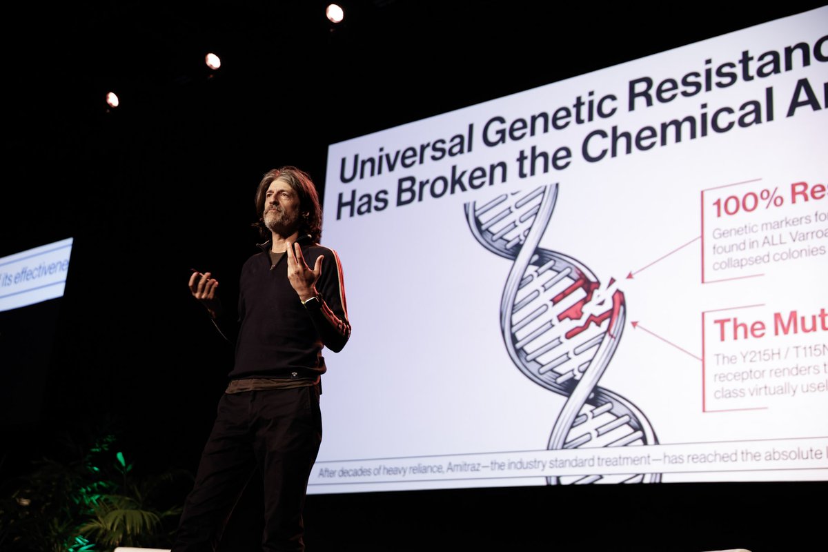 SynBioBeta's tweet photo. Chris Kantrowitz said Quorum Earth is engineering a thermal-tolerant Metarhizium strain to control Varroa mites prophylactically inside hives, as amitraz resistance and deformed wing virus keep driving bee colony losses. #SynBioBeta #Biotech https://t.co/vAG183wwbX
