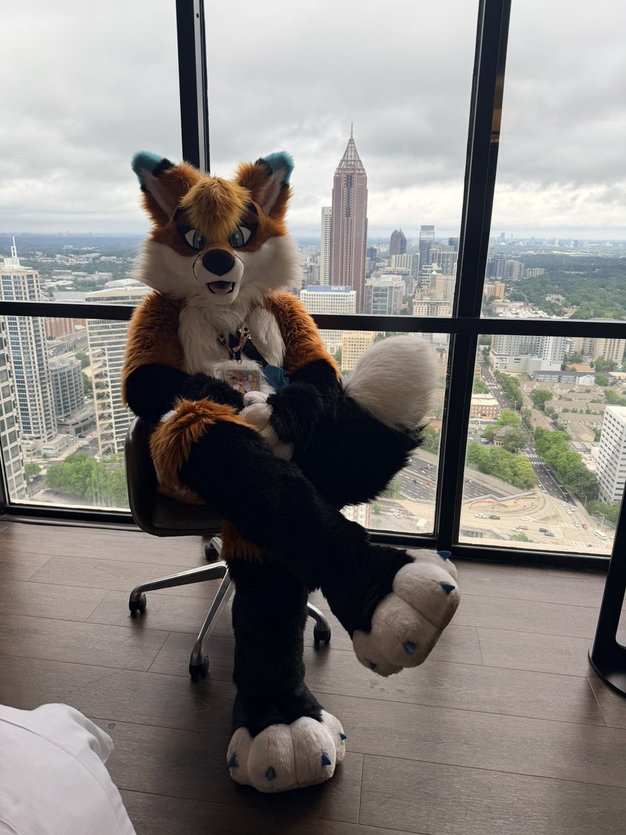 Autumn 🦊🔜FWA tweet media