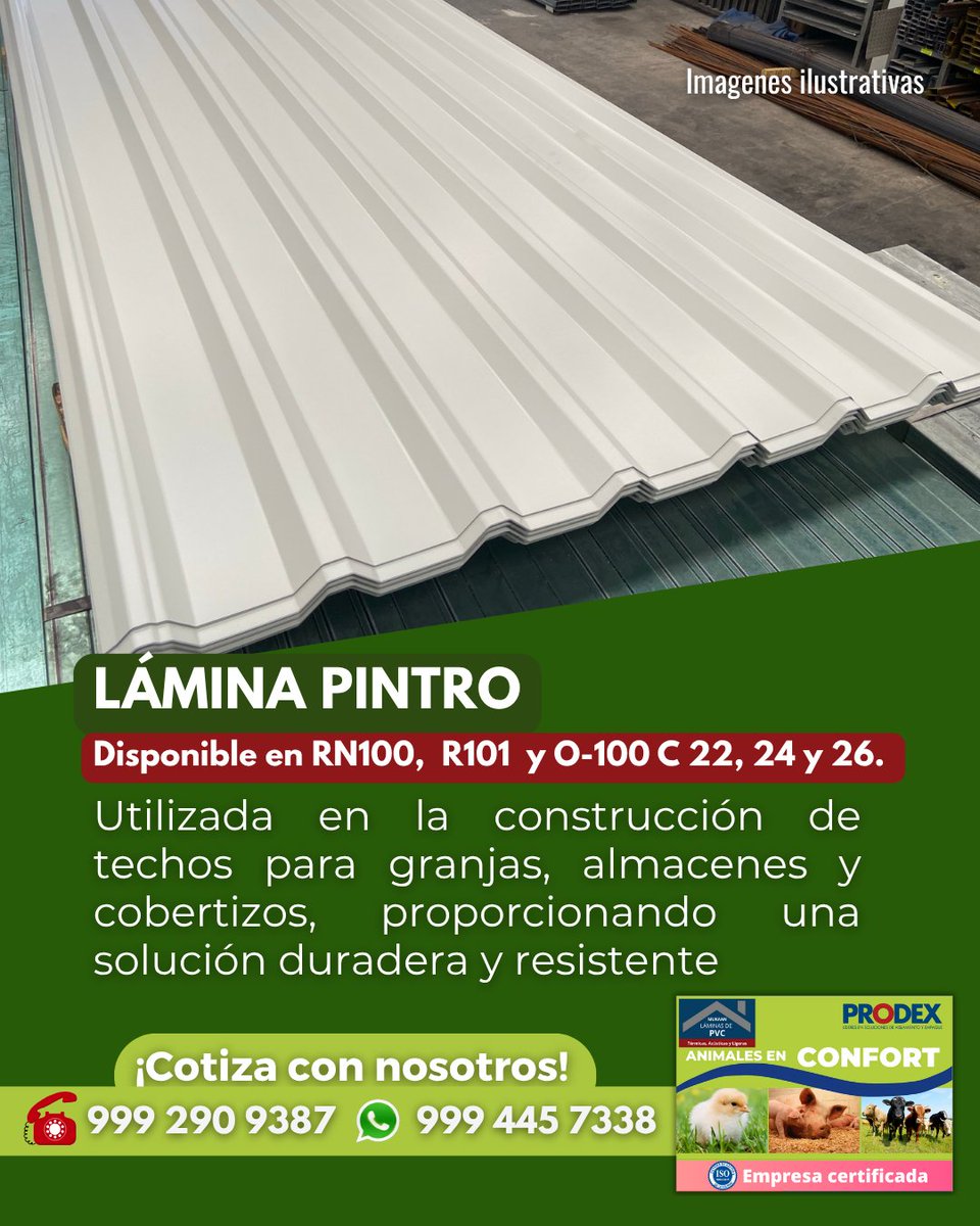 JaviMiranda10's tweet photo. ☎️ Contactacon tu asesor o al número 9992 90 9387 Escríbenos vía WhatsApp al 999 4457714 #alamedida #enconfort #tudecides
@laminasdepvc
@Laminasyaceros
@contenedoresmid https://t.co/wlhreHt42E