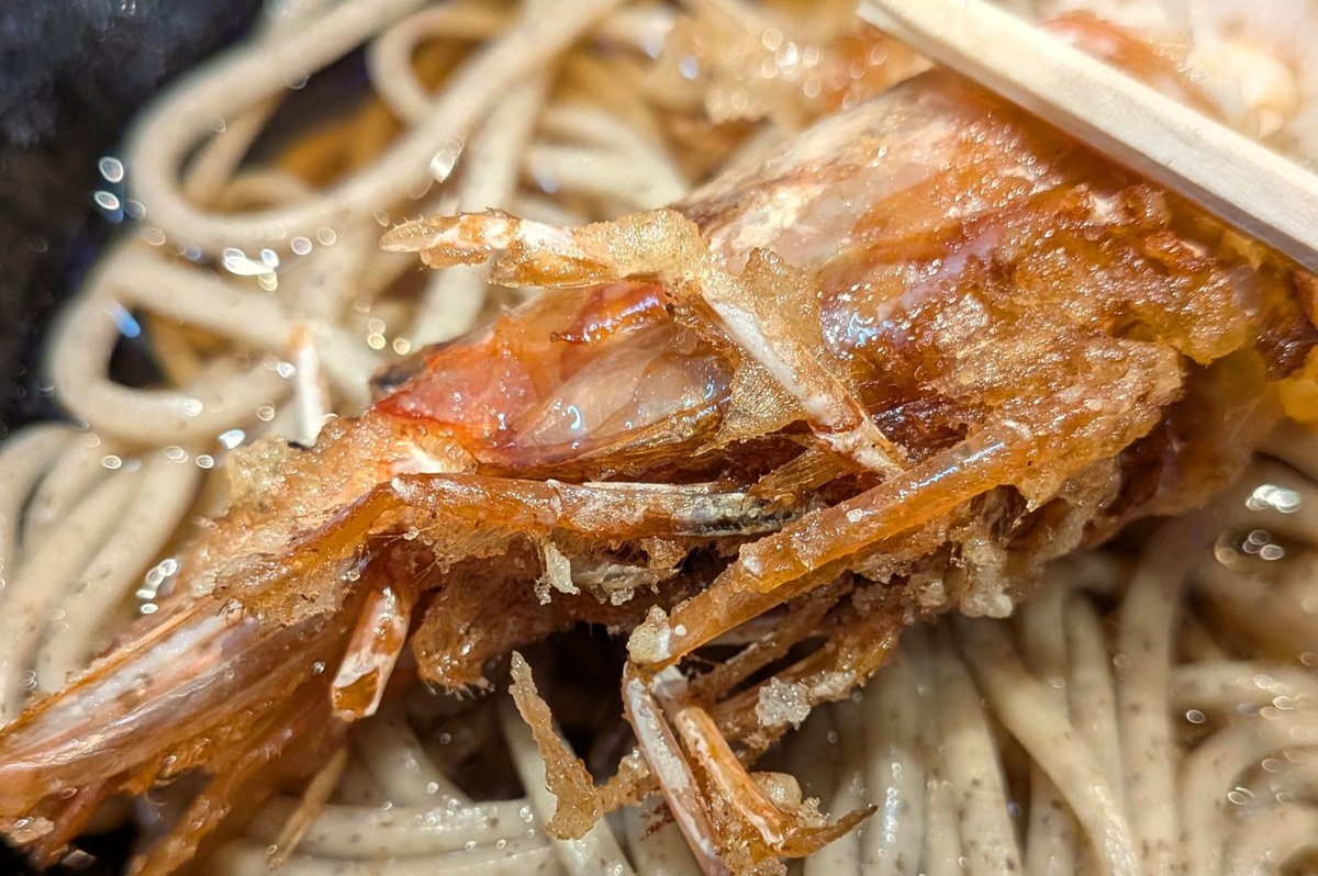 お昼は海老しんじょうそば！ふわっとした海老しんじょうに、プリっとした一本海老の味わいがナイス、おいしく楽しみました☺💕✨👍️
〈ブログもアップしました☺！〉
【J-SOBA】海老天と思いきや海老しんじょう、新店の「蕎麦を超えるSOBA」でいただきました！@御茶ノ水
umalog.jp/2026/05/08/j-s…