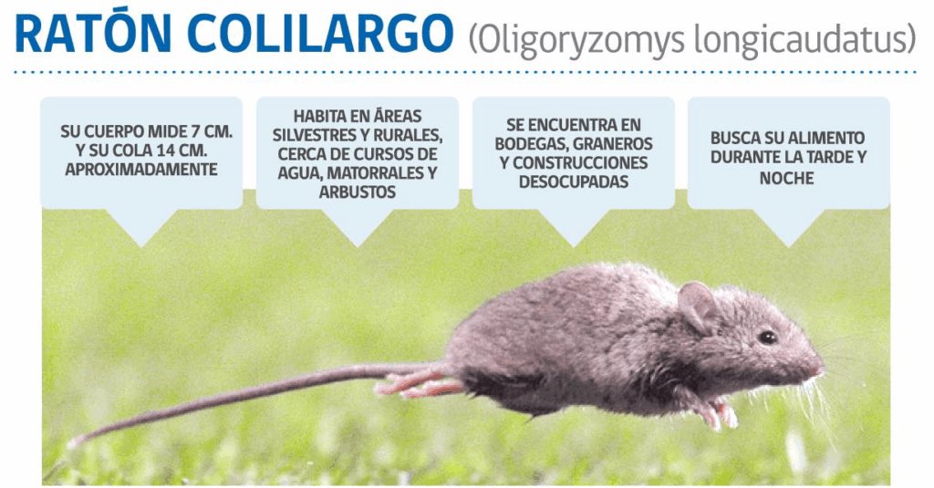 Alerta Mundial tweet media