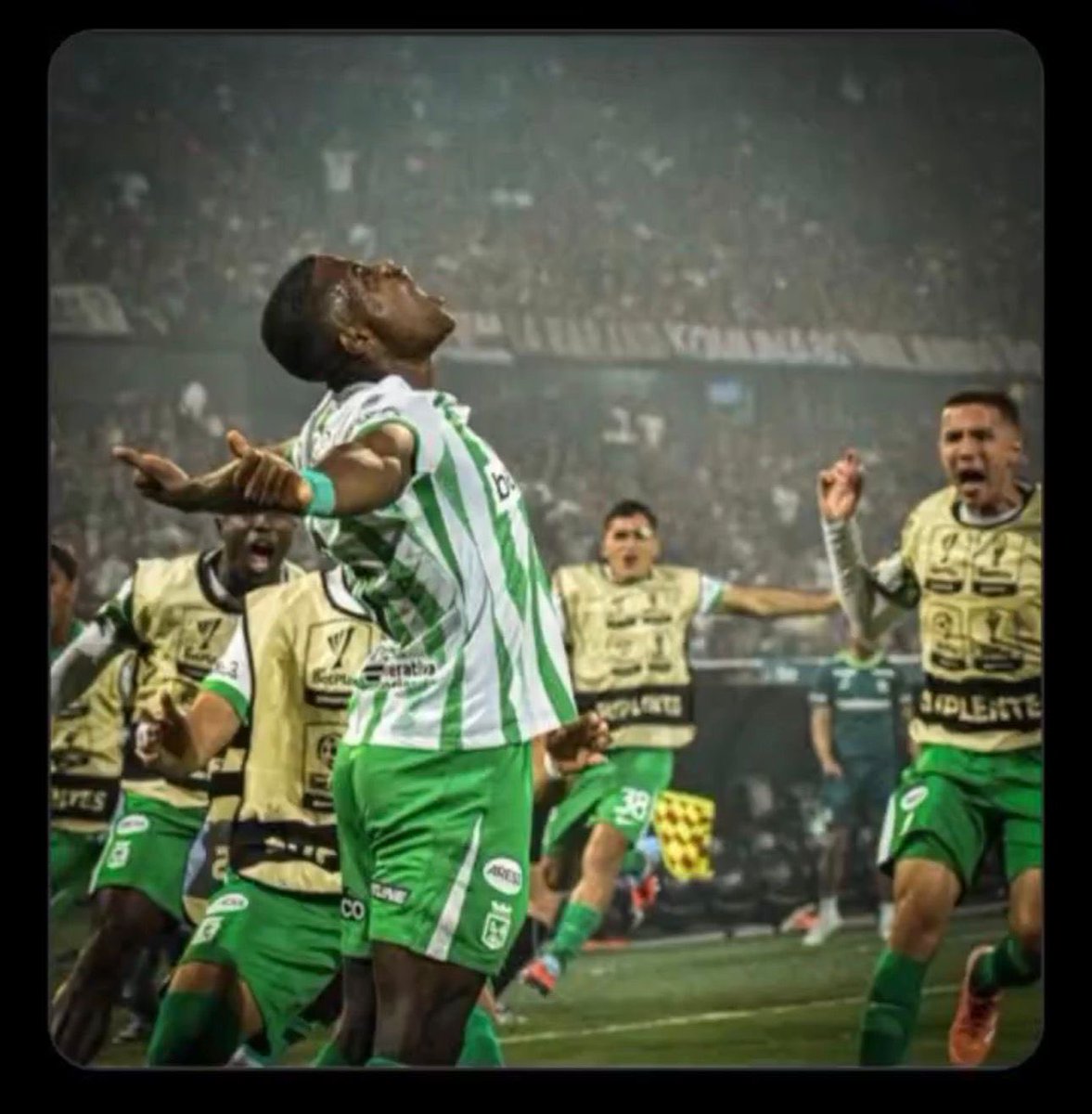 StevenR95011531's tweet photo. @DimTeam1913 Quita esa malacara indigente , que te Va matar esa amarguraaa🤣🤣🤣 https://t.co/i7vkZfXKs1