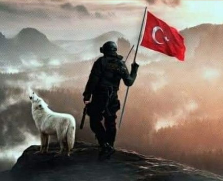 ALP BAŞI tweet media