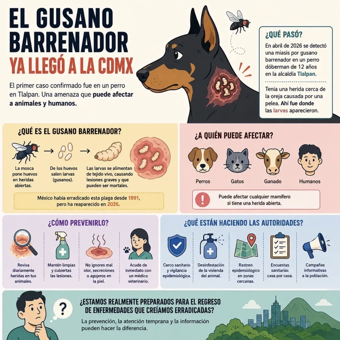 AnimalWhispers6's tweet photo. @gatitosasalvo Aquí explican https://t.co/CfMEuwpLSM