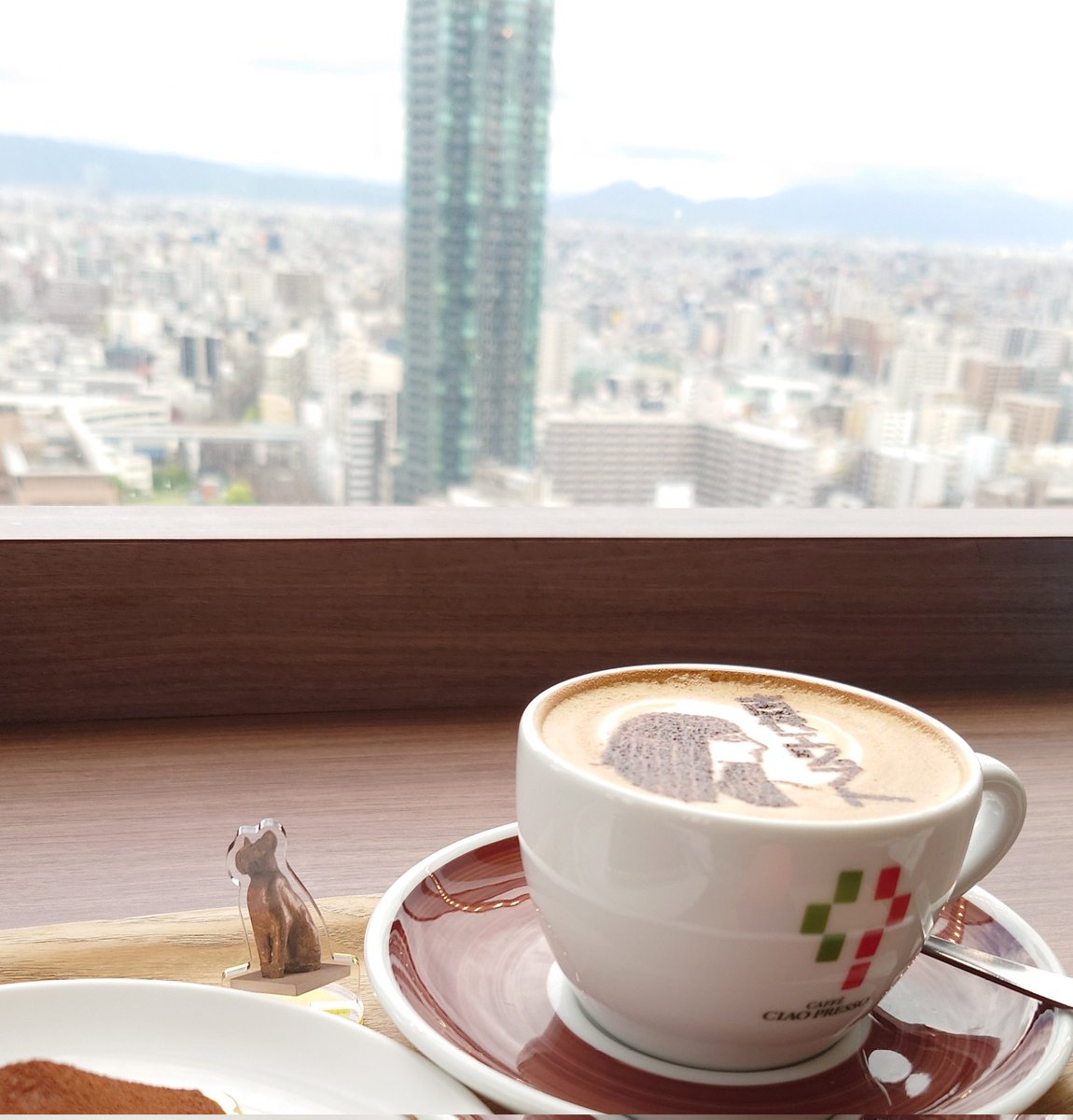 ハルカスからビル眺めてる場合じゃなかった…😭

猫と相席カフェ😭😭(そこまで言ってない)

＞RP