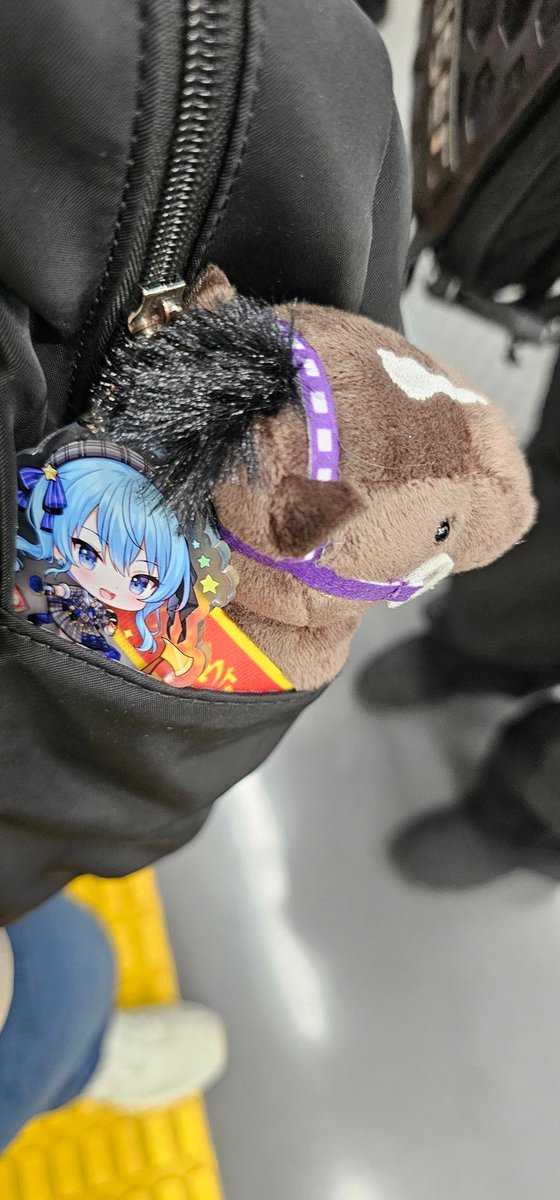 Yoitsu Velvet 🐴🎀✨️ tweet media