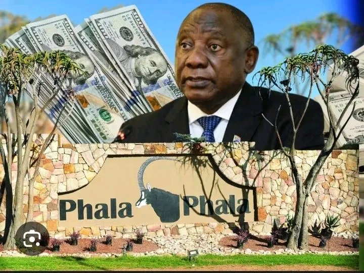 Nondaba🇿🇦 tweet media
