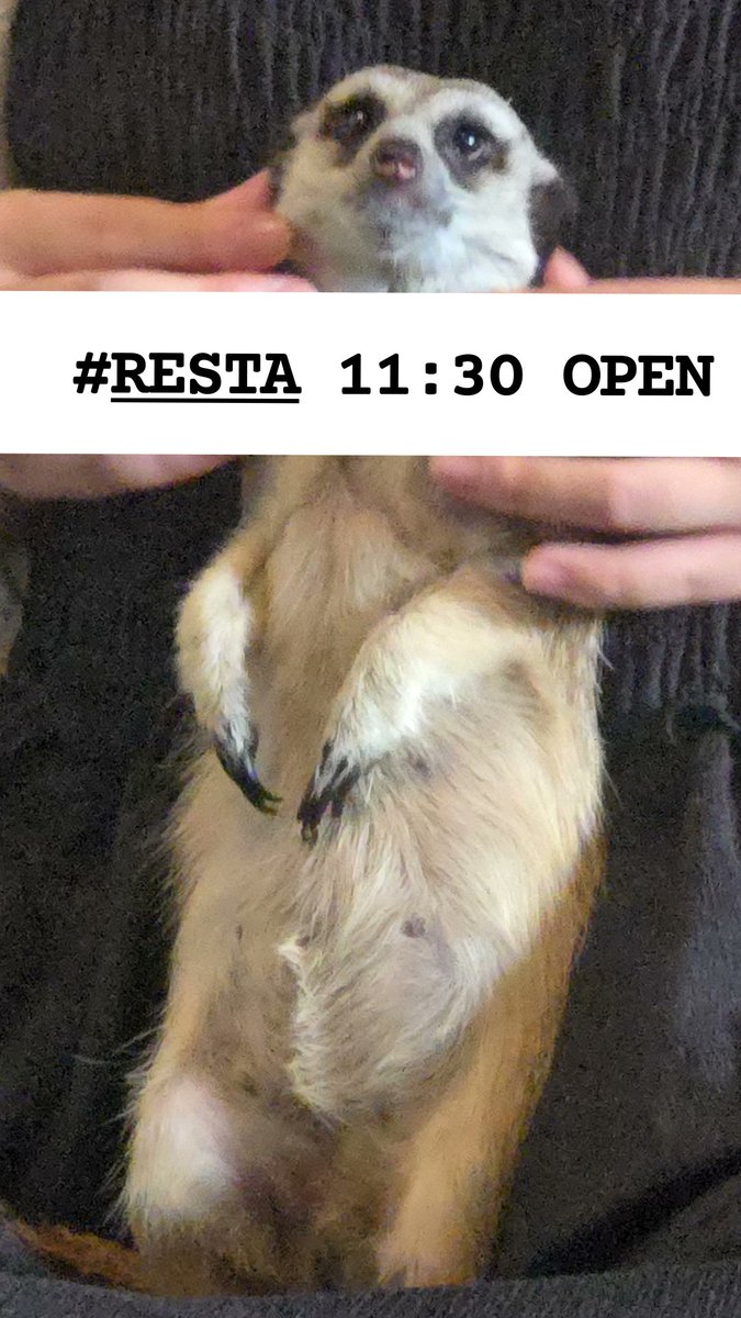 RESTA西九条　Cafe&Music tweet media