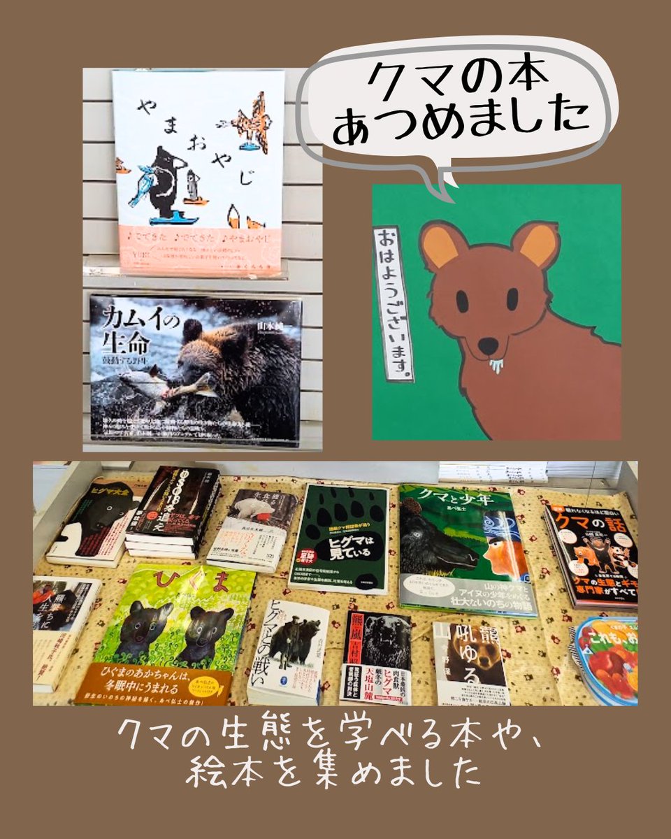 shindo1973's tweet photo. 春になりクマ出没のニュースが時々ながれてきます���
かわいい絵本から生態を知れる本までクマの本を集めました
里におりず山にいてほしいものです🐻 https://t.co/xLLUxZjjBq