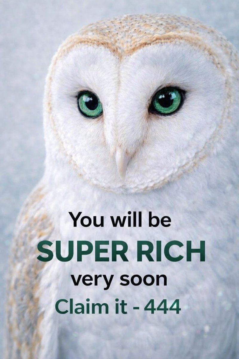 Law Of Attraction Coach tweet media