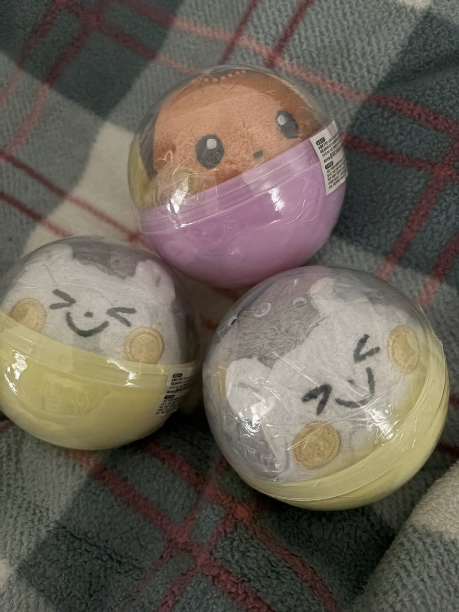 k_v0p's tweet photo. 포켓몬 메타몽놀이터 마그넷 랜덤 마스코트 교환

저: 라이츄 토게데마루  
님: 피카츄

원가로 양도도 합니다 디엠 후 흔적 부탁드려요~! https://t.co/JTsPFX4q0T