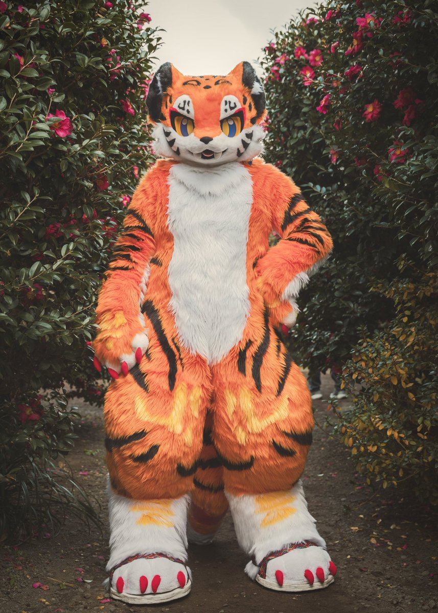 Noel_Goldy's tweet photo. ๐บ
๐ท@chivilt_k
#FursuitFriday #Ryoon https://t.co/41UElqirqv