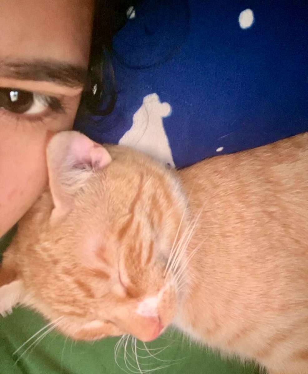 hehell4ry's tweet photo. como extraño dormir con el https://t.co/iY0jyjxD5b