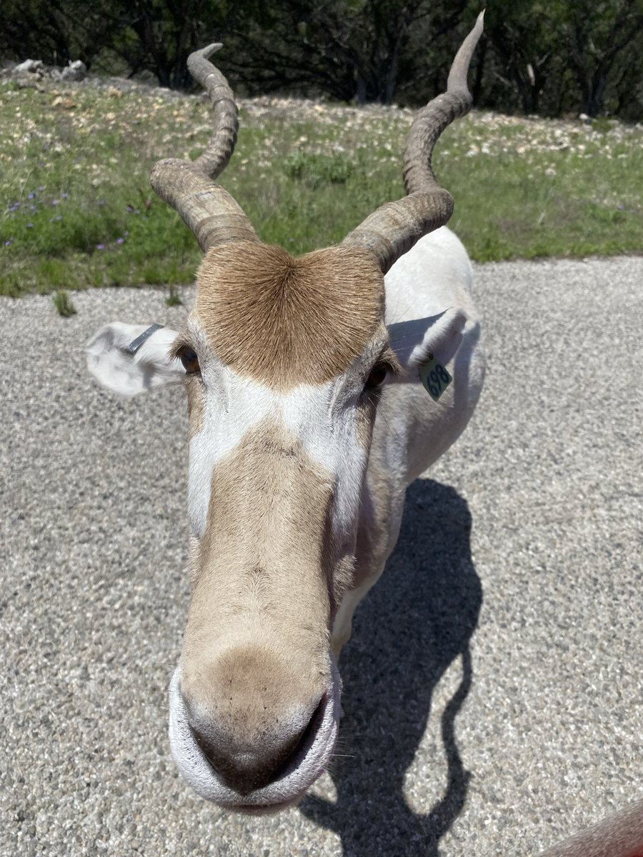 CowtownMike's tweet photo. Sup https://t.co/AISKkSuj2N