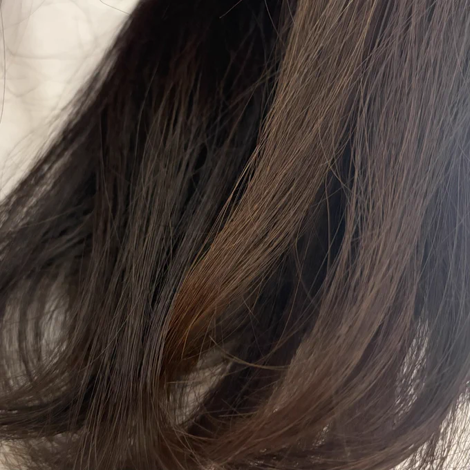 自我出してすまんけど髪の色が外と内側で違う…!髪染めてないのに外側が茶色い、傷みやすいからかな、海藻類食べるか…