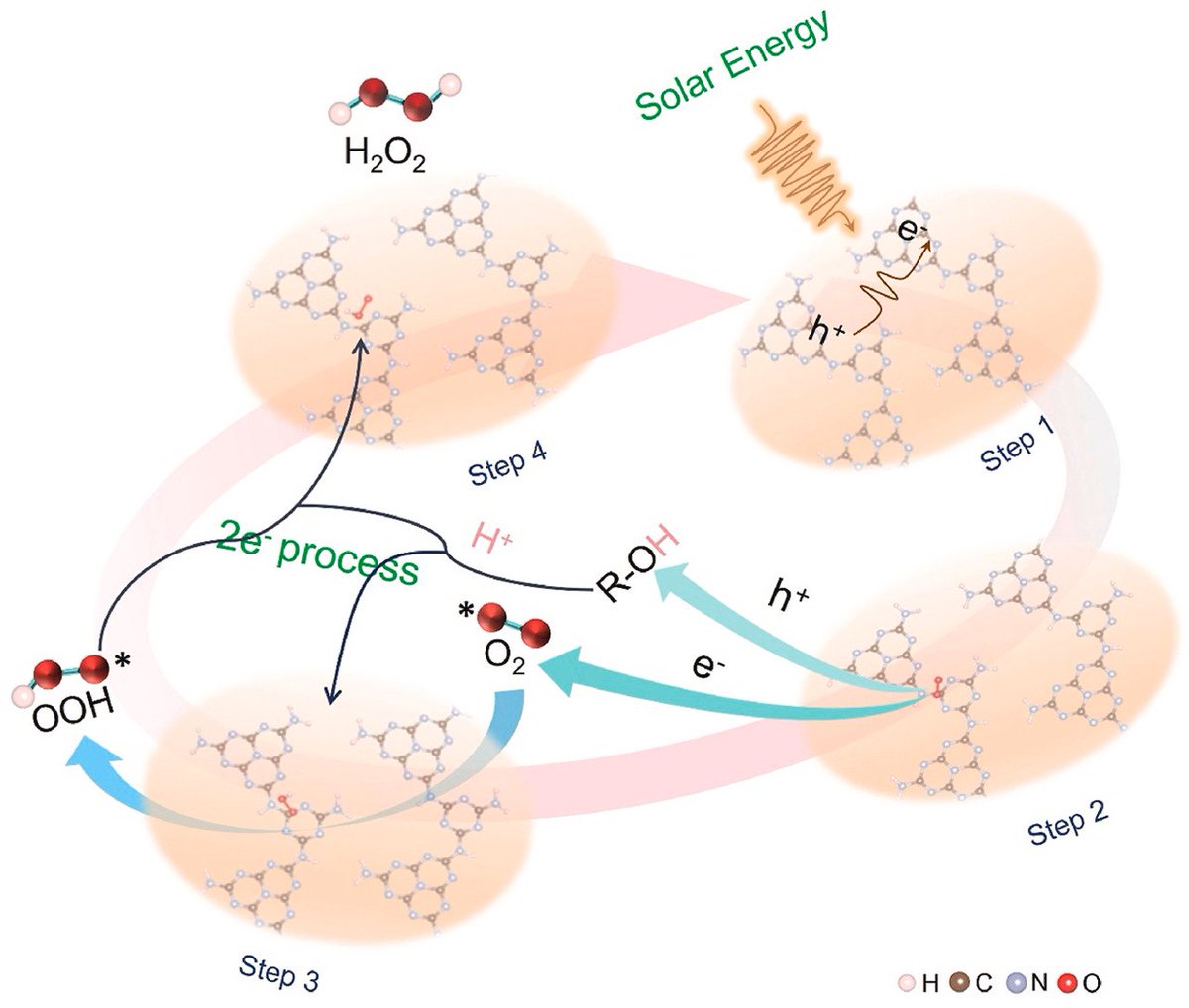 ActaPhysChimSin's tweet photo. Ionic polarization engineering of polymeric carbon nitride toward efficient #H2O2 #photosynthesis https://t.co/4YFcIwj3VW

@Photocat_papers https://t.co/2vXBk3UUxJ