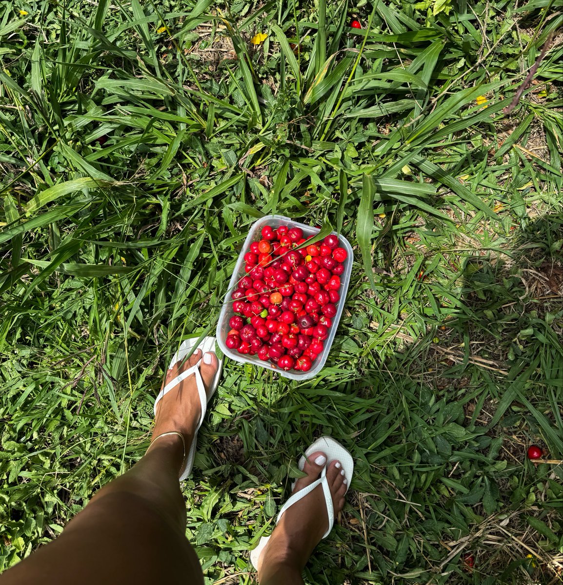 Mary Feet 🇧🇷🦶🏽 tweet media