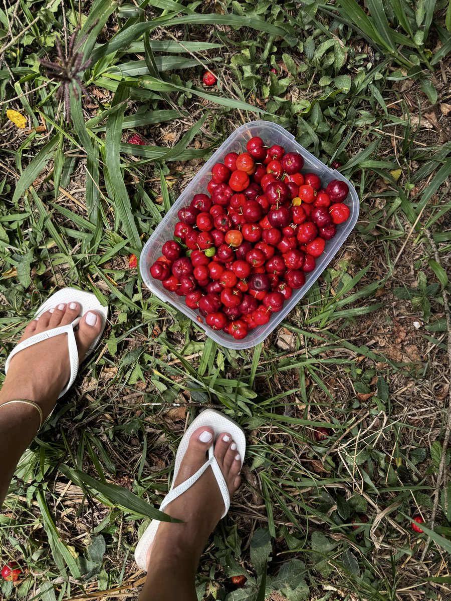 Mary Feet 🇧🇷🦶🏽 tweet media