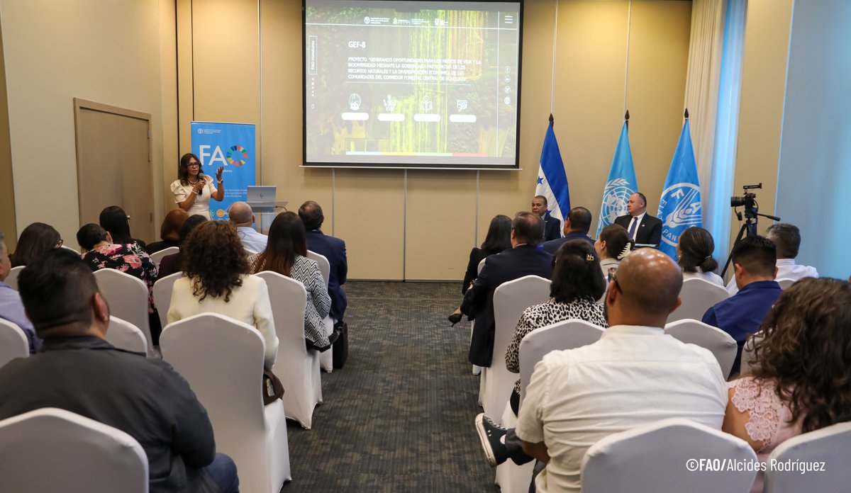 🗞️Nota de Prensa 

Honduras a través de la <a href="/sernaHN/">Secretaría de Recursos Naturales y Ambiente</a>, con apoyo del <a href="/theGEF/">Global Environment Facility (GEF)</a>  y la FAO, lanza Proyecto para conservar bosques, reducir la degradación y fortalecer economías rurales

Conoce aquí 👇 las zonas de #Olancho que serán beneficiadas
fao.org/honduras/notic…

<a href="/FAOAmericasADG/">Rene Orellana Halkyer</a>