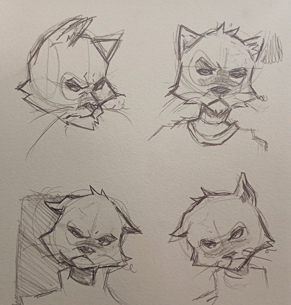 __Sillva2013's tweet photo. Drew this morning. https://t.co/zwLLV5DA2U