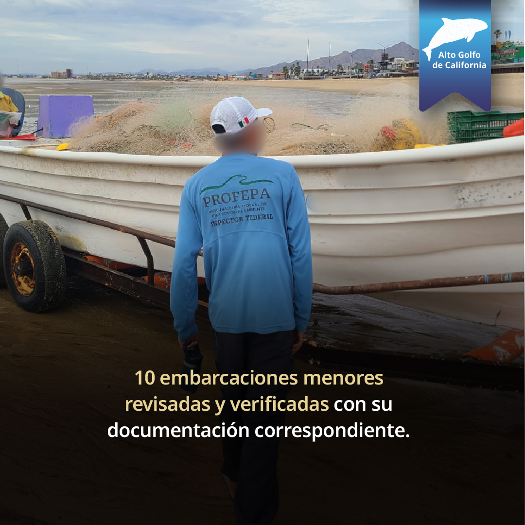 PROFEPA tweet media
