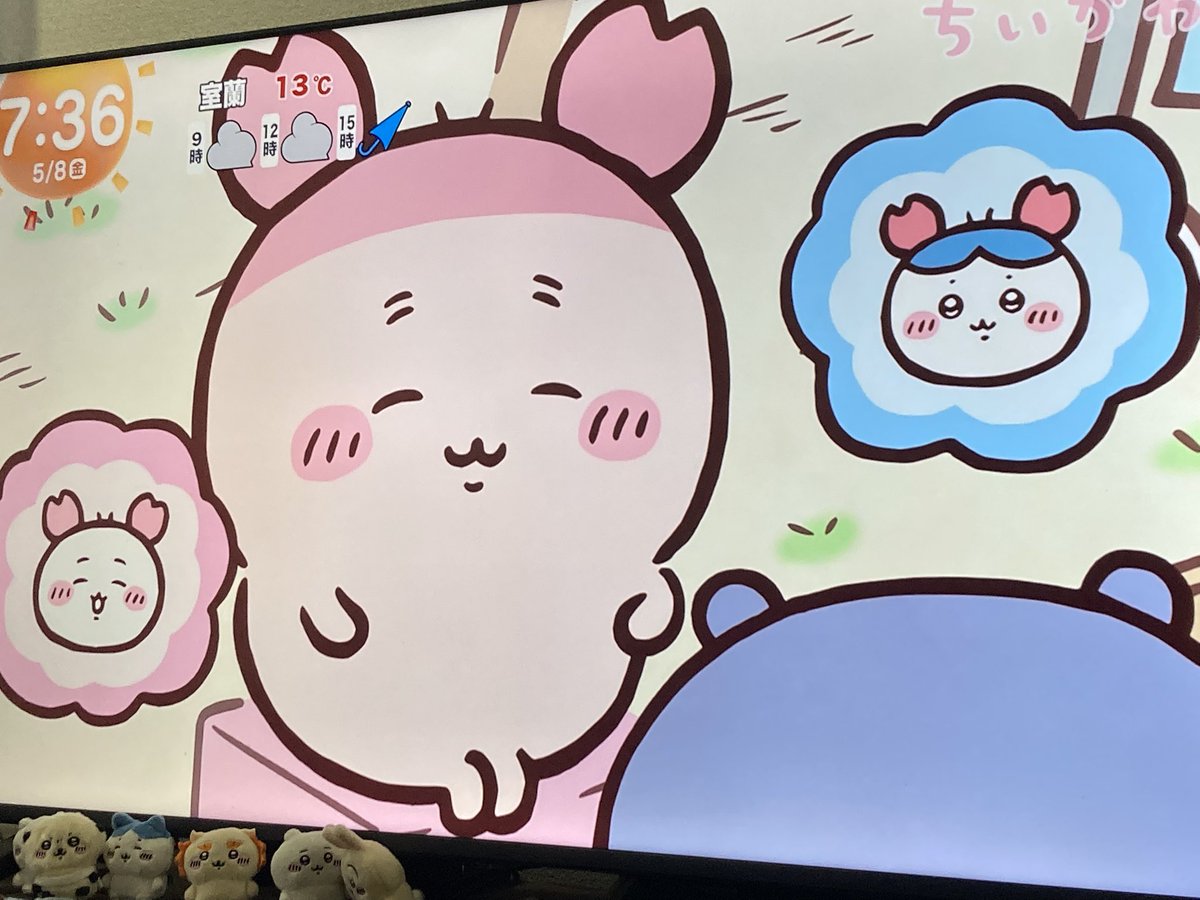 HM8nagi9's tweet photo. ついにカニちゃんがー!!!!!!
可愛いいいいいいいいいいいいいッ😍 https://t.co/8917uRVxz8