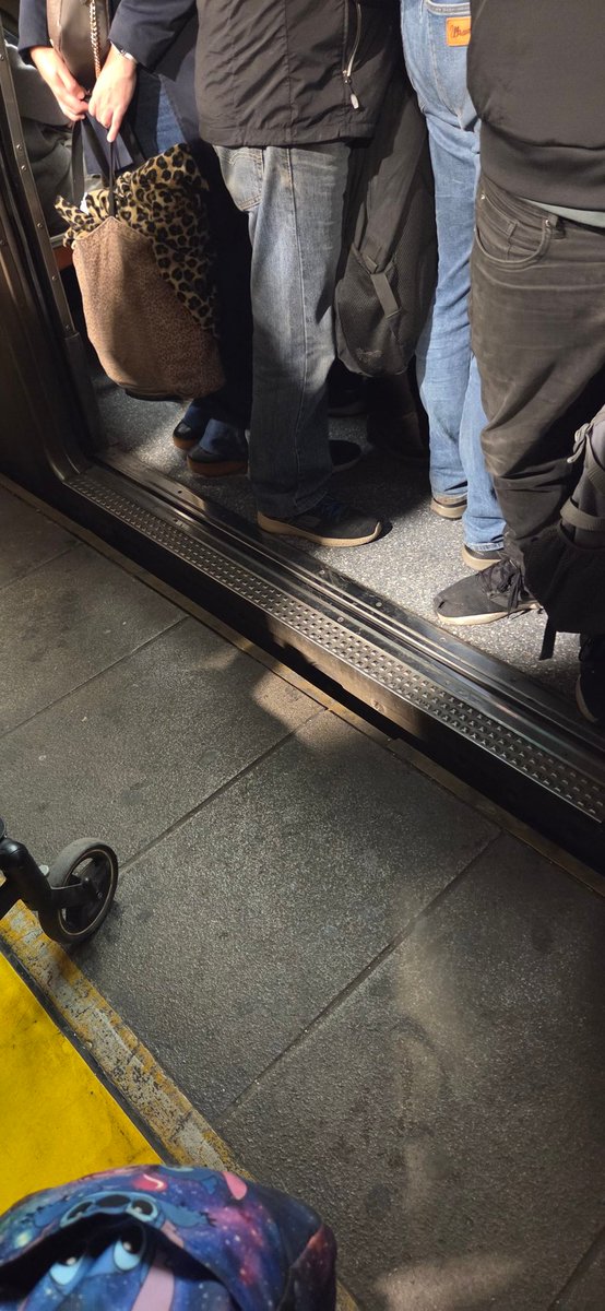 Piushin's tweet photo. @metrodesantiago Y logró la señora del coche subir. Un caos https://t.co/E7jHfMlpLA