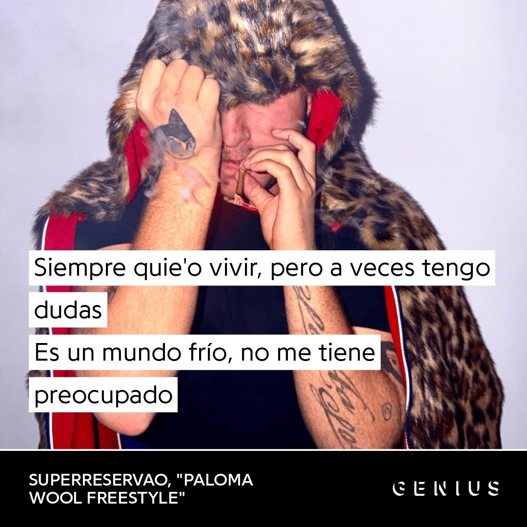 carola tweet media