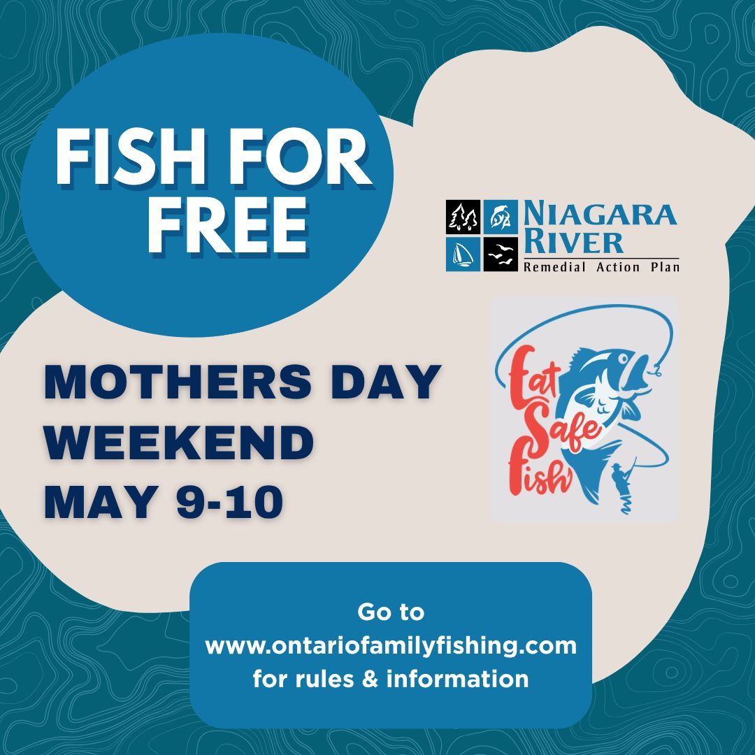 Niagara River RAP (Canada) tweet media