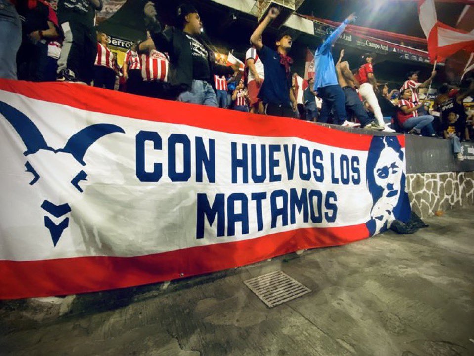 ElPatron tweet media