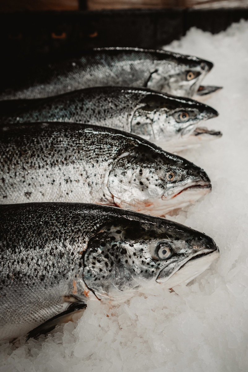 ProFish Seafood tweet media