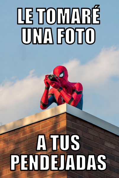 Araña Desengañada (Contra Morena y sus Mentiras) tweet media