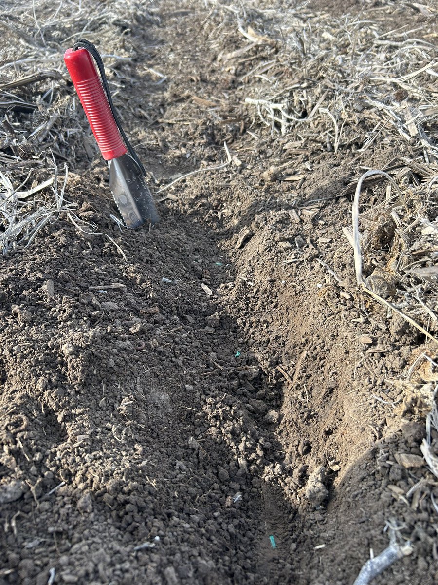 cattleNcrops83's tweet photo. Furrow force is one of the best investments we’ve made for no-till. https://t.co/N1Q5aUZ8XF