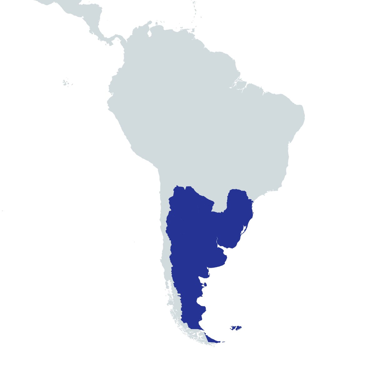 Euroamericano 🇦🇶🇦🇷 tweet media